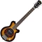 61UgR6gXysL._AC_UL600_SR600,600_.jpg