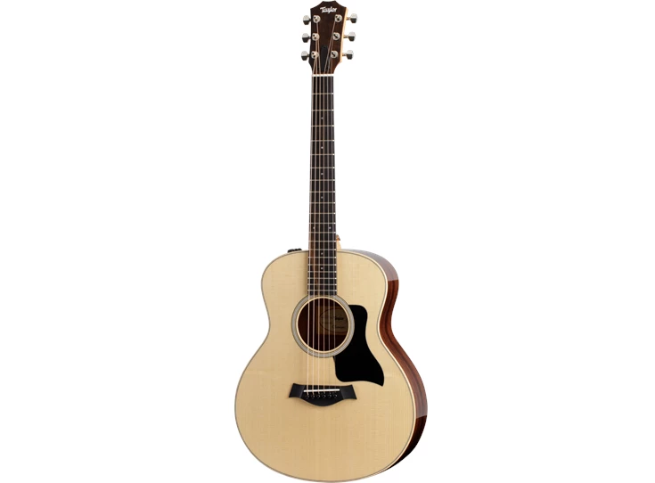 taylor-gs-mini-rw-plus-2209262334-frontleft-2022.png