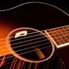 anthem-sl-acoustic-guitar-pickup-microphone-2.jpg