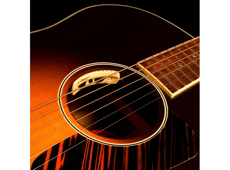 anthem-acoustic-guitar-pickup-microphone-2.jpg