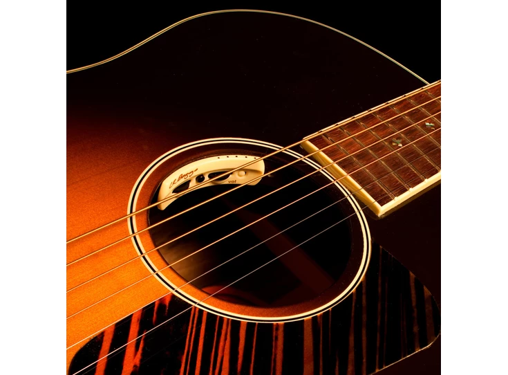 anthem-acoustic-guitar-pickup-microphone-2.jpg