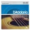 D-ADDARIO-EJ16-6-String-Folk