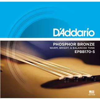 D-ADDARIO-EPBB170-4-String-Acoustic-Bass
