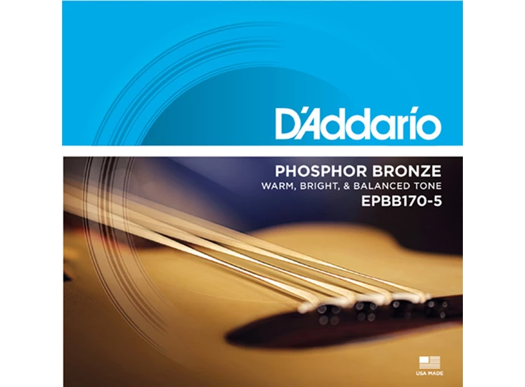 D-ADDARIO-EPBB170-4-String-Acoustic-Bass
