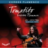 SAVAREZ-T50J-Klassiek-Flamenco-set-Tomatito