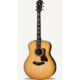 TAYLOR-818e-V-Class-East-Indian-Rosewood